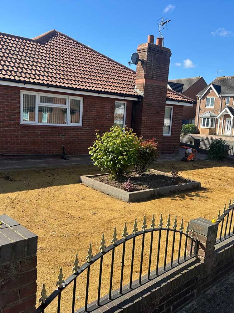 Artificial Grass During